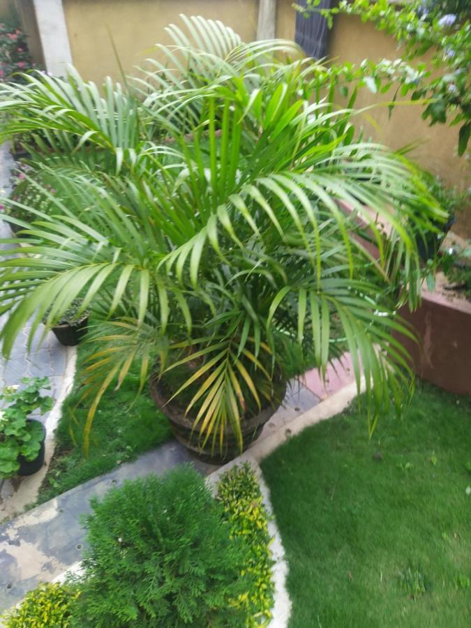 Rio Homestay Haputale Extérieur photo